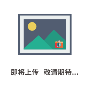 單組壓力開關(guān)壓力控制器PC30DE